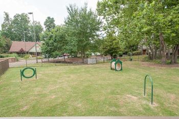 Pet park